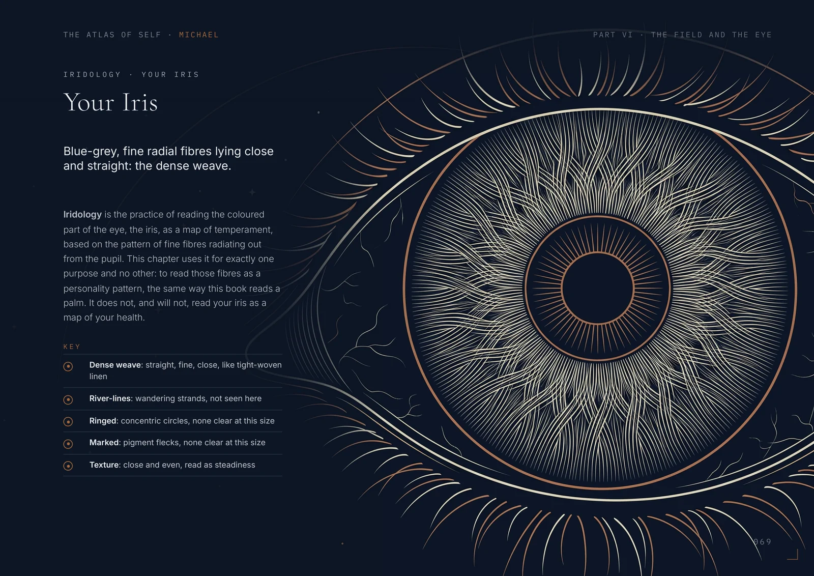 Page 69, Your Iris: the reader's iris drawn large, with a key to its weave